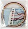 Dimensions Holiday Family Truck Christmas Counted Cross Stitch Kit – 6" 14-Count Aida for Beginners (5-Pack)